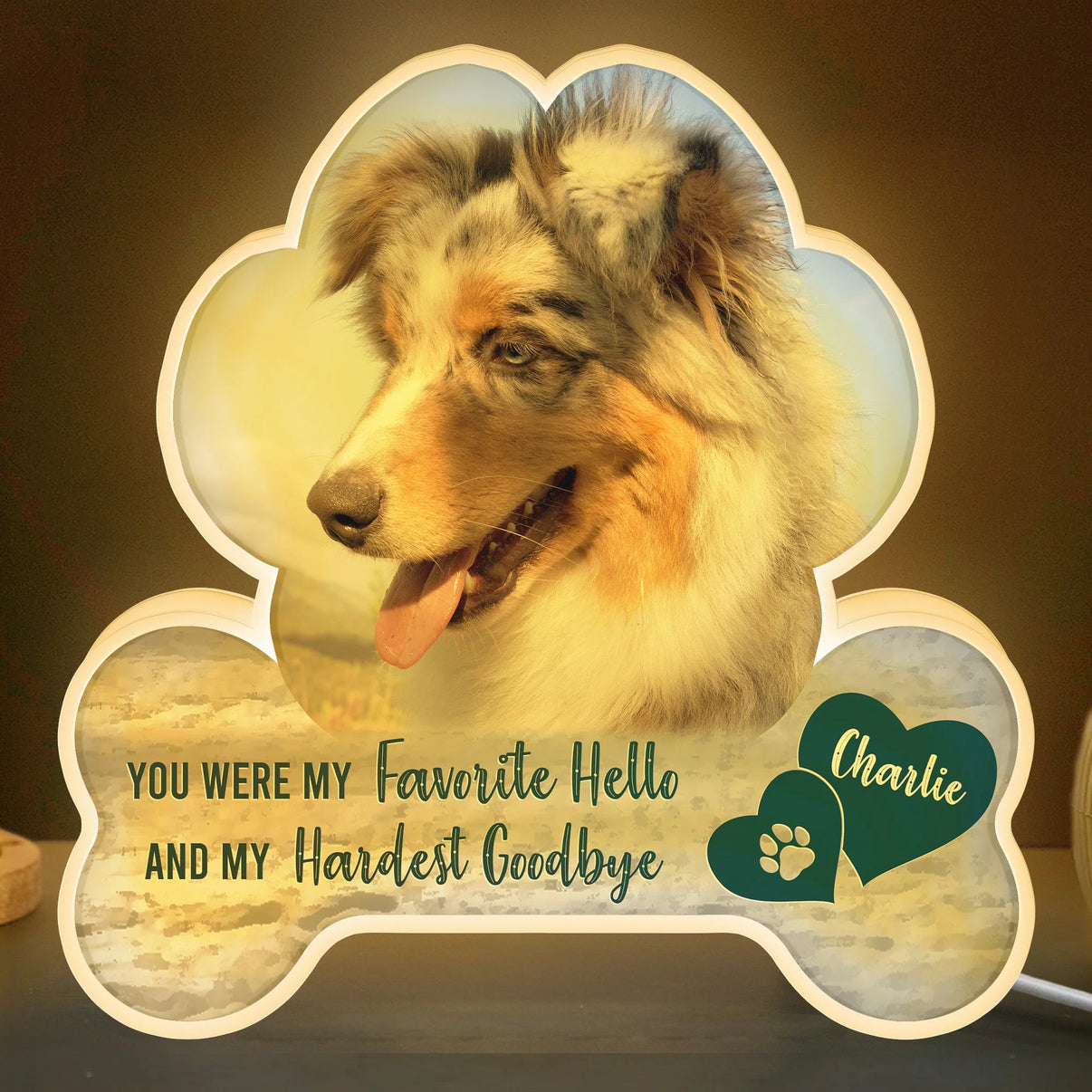 My Favorite Hello and My Hardest Goodbye Memorial Pet - Custom Shape Photo Light Box
